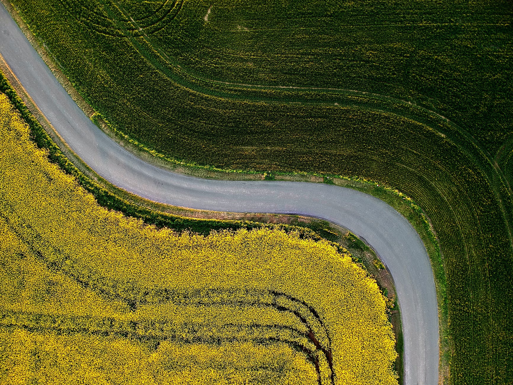 aerial photography of country road between green grass field