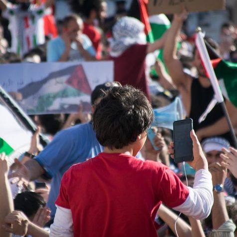 Ante el dolor de Palestina