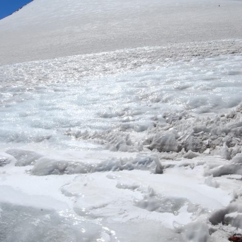 Elecciones en Común: Medio ambiente y crisis climática