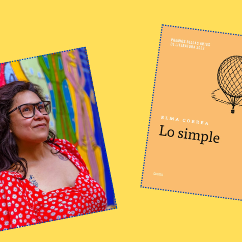 Tirar a Humpty Dumpty: sobre Lo simple de Elma Correa