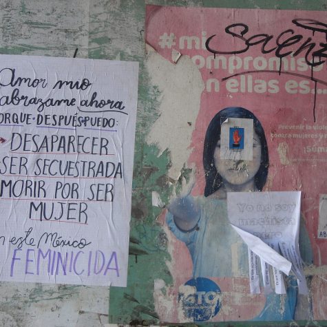 Patrones tras los feminicidios en León, Guanajuato