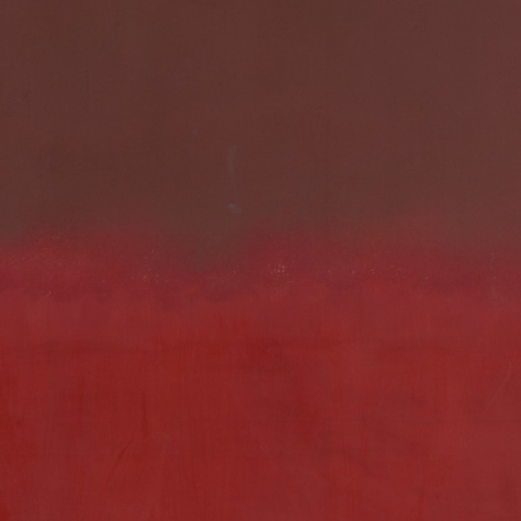 ¿Es ilegal la asignación de plurinominales en tiempos de la 4T?