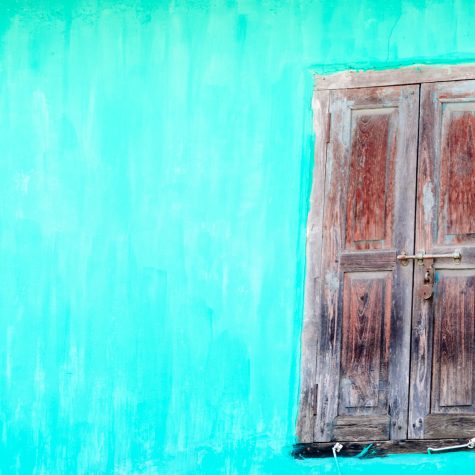 Las competencias educativas en México: anotaciones lingüísticas entre economía y educación