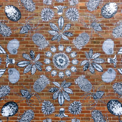 Wejën Kajën: noción específica y universal de educación en el pueblo mixe