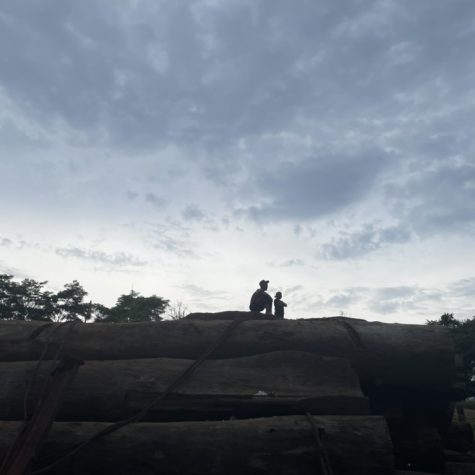 “Nunca vi el Darién cerrado”: transformaciones de la circulación por el corredor migratorio Región Andina-Centroamérica