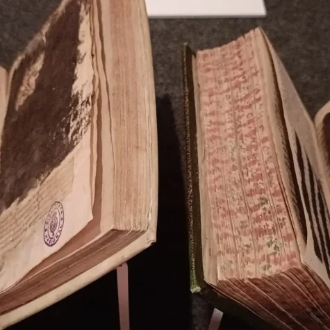 Influencia del sector religioso en los contenidos de educación sexual de la SEP