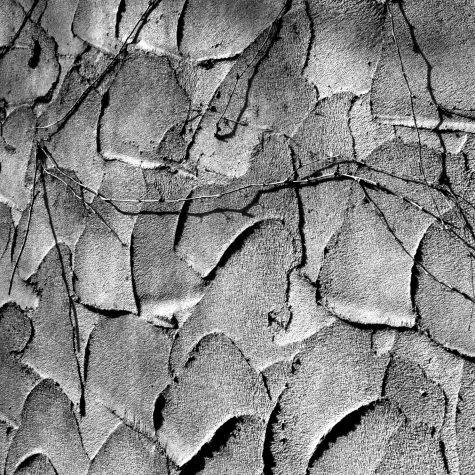 La decolonialidad fracturada