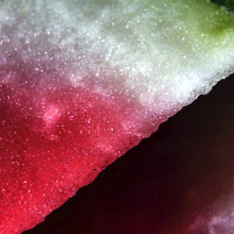 Una plegaria por Gaza, por Palestina (II)