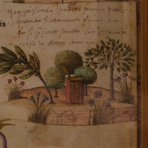 Contribución a un debate público sobre el humanismo en México