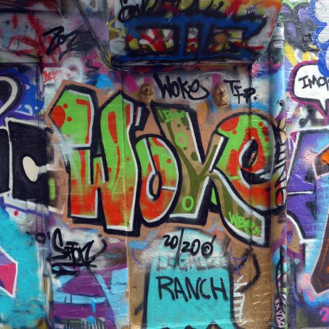 ¿Universidades woke?La crisis de legitimidad universitaria frente al ascenso de Trump