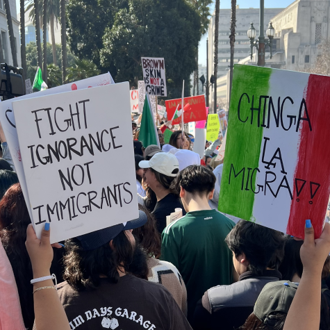 Acciones y reacciones en torno a la espectacularización del odio antimigrante de Trump*