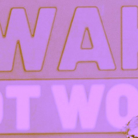 Cuando el lobo se viste de oveja y te acusa de woke (II)