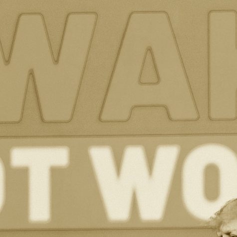 Cuando el lobo se viste de oveja y te acusa de woke