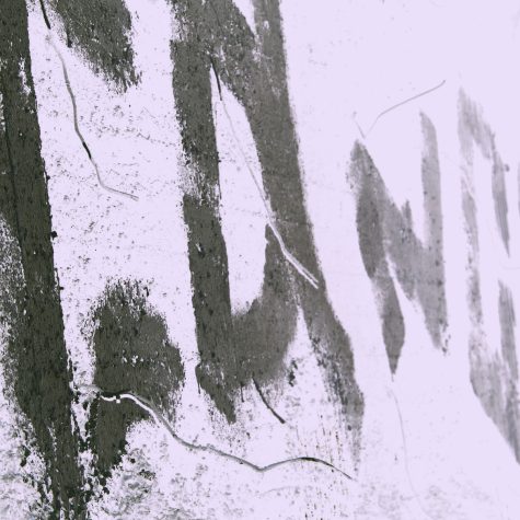 Los mecanismos de la funa