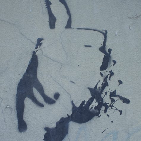 Las marcas de una elección. Crónica de un proceso (electoral) extraordinario