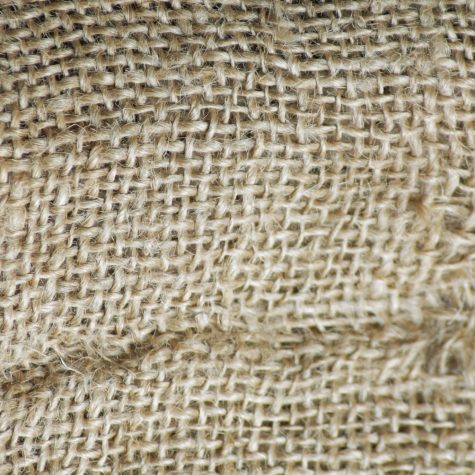 Pendientes pensionarios de la presidenta Sheinbaum