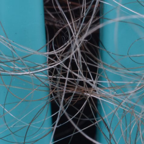 Mi abuela obradorista