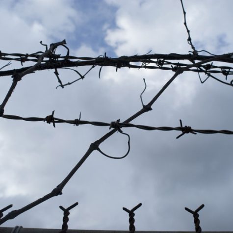 En pausa: el estado de espera en el Programa de Movilidad Segura