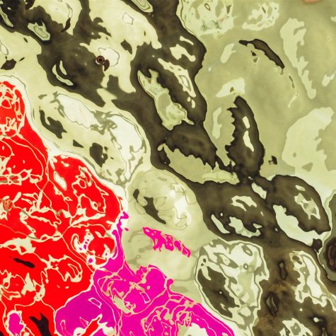 Defender la Filosofía de su disolución disciplinar