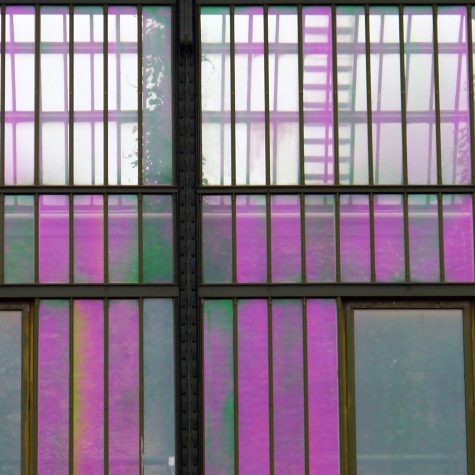 Mujeres y academia: prácticas desde el feminismo