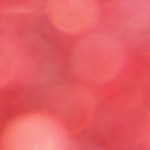 <i>Amores materialistas:</i> <br> A quiénes amamos también es político