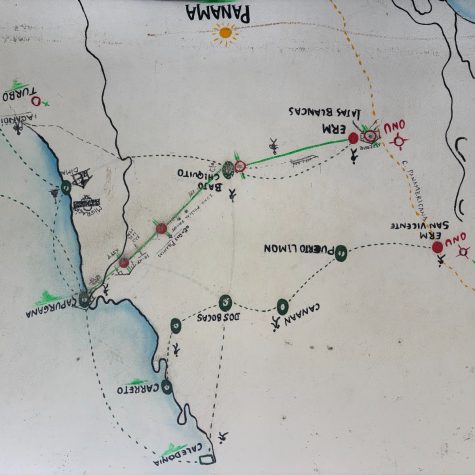 Ecos de Trump 2.0 en el sur:Tránsitos en reversa y sus repercusiones locales (II)