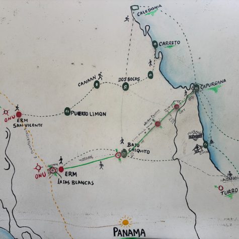 Ecos de Trump 2.0 en el sur:Tránsitos en reversa y sus repercusiones locales (I)
