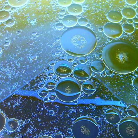 Cápsulas contra el genocidio# 03 ¿Qué diferencia hay entre antisemitismo y antisionismo?