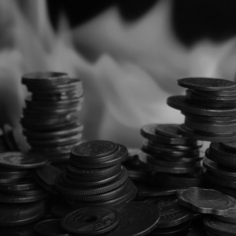 Economía criminal: claves para su análisis (III)