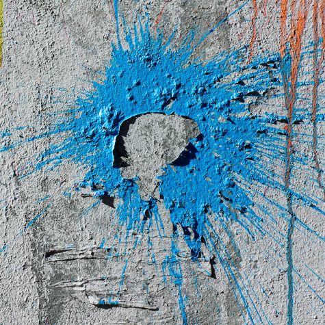 El interés público en la ciencia a debate judicial