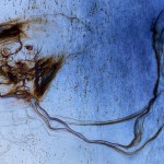 Tecnopolítica de la IA: inteligencia, ignorancia e imaginación (II)