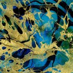 Asfixiar la diversidad