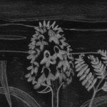 La fragilidad de lo común: sostener la escuela en medio del horror