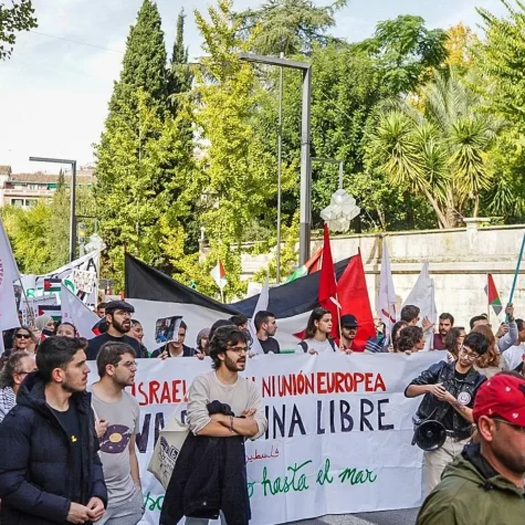 Ariana Harwicz y la libertad de expresión