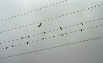Imagen tomada de Flickr