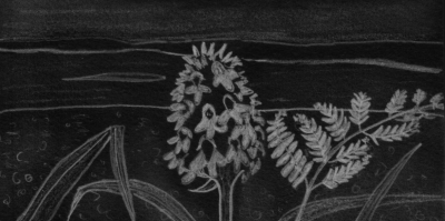 Imagen tomada de Flickr